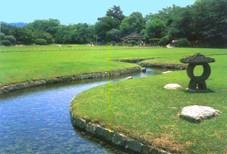 Фън Шуй Консултант