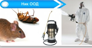 хлебарки, насекоми, кърлежи, бълхи, дървеници, оси и др.