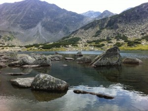 САМО ЗА ТАТКОВЦИ!