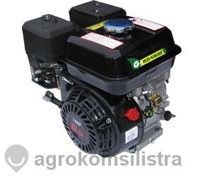 250 лв. Бензинов двигател