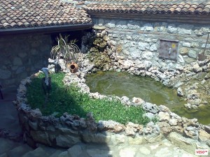 Озеленяване