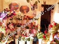 Дава се под наем магазин в гр. Перник