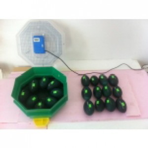 Продавам инкубатори, нови,заводски, директен вносител ,за люпене на ЩРАУС и птица ЕМУ