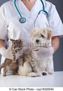 Денонощна ветеринарна клиника "Св.Арх.Михаил"