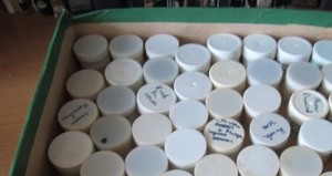 Купувам детски филмчета за прожекционен апарат					