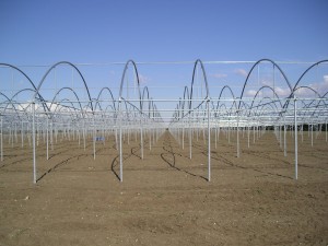 Парници и оранжерии