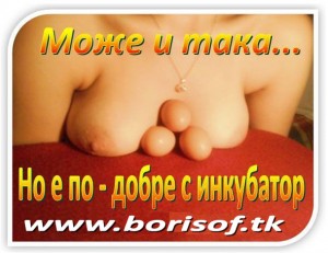 Инкубатори - автоматични, терморегулатор с PIC контролер  