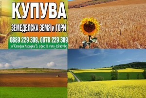 ПЛЕВЕНСКА област  – ЕкоАгро купува ЗЕМЕДЕЛСКИ ЗЕМИ