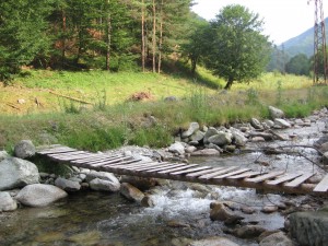 Търся малка къща, зем. земя или гора в планиско село
