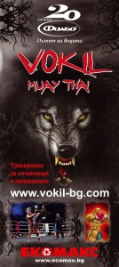 Кик бокс и муай тай