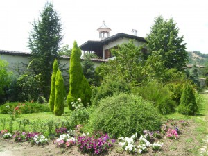 Поддръжка, озеленяване, затревяване и посаждане на растения!!!