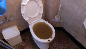 Аварийно отпушване на канализация град Пловдив