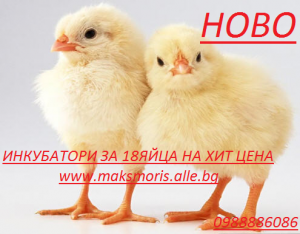 Предлагаме Инкубатори за всякакав вид яйца