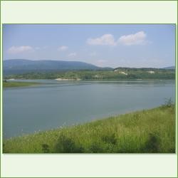  земя в село Виница