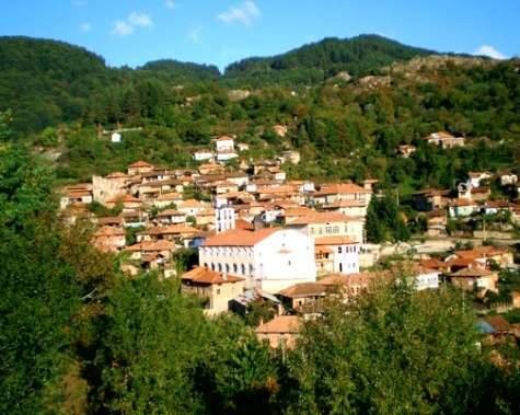 Къща за гости в с.Тешово,стаи под наем