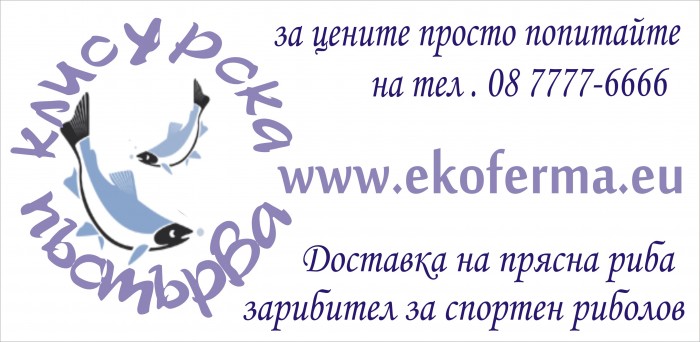 Доставка на прясна пъстърва 