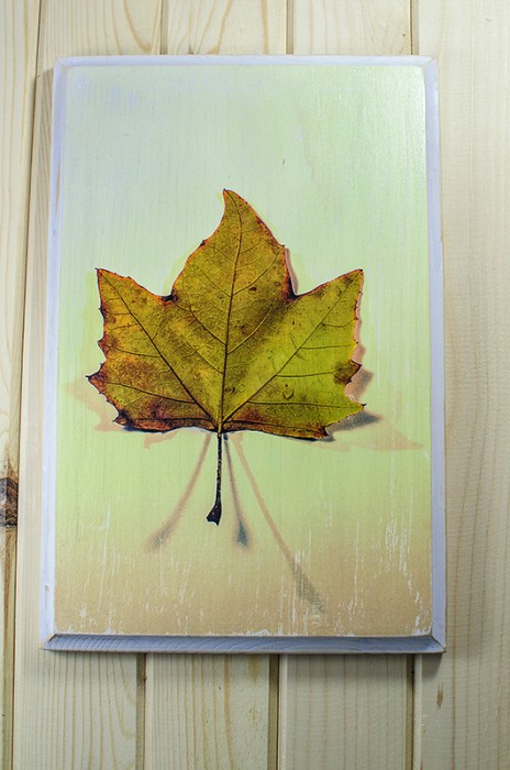 Фотография в/у дърво - Багрите на есента 