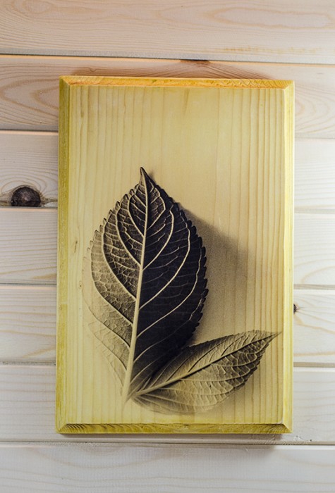 Фотография в/у дърво - Точно време