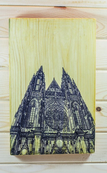 Фотографи в/у дърво - Парижката Света Богородица