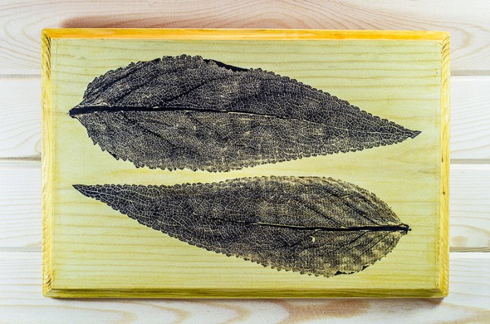 Фотографи в/у дърво - Природния код