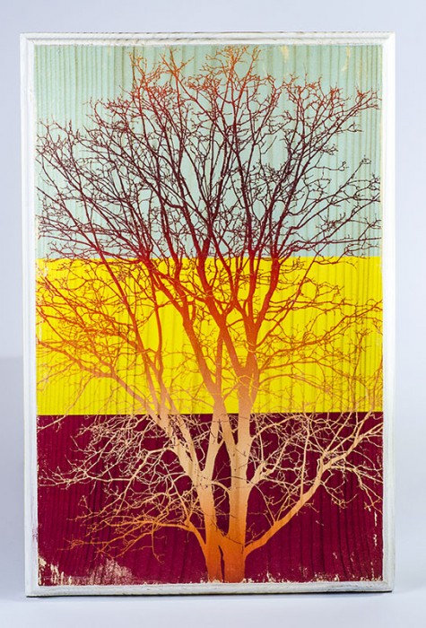 Фотография в/у дърво - Цветна палитра