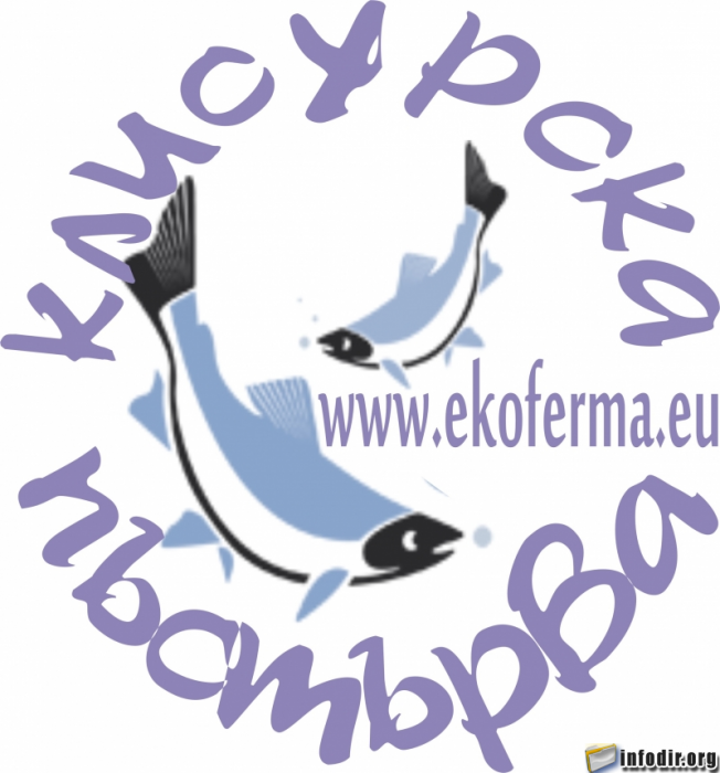 Доставка на прясна риба за Централна и Западна България.