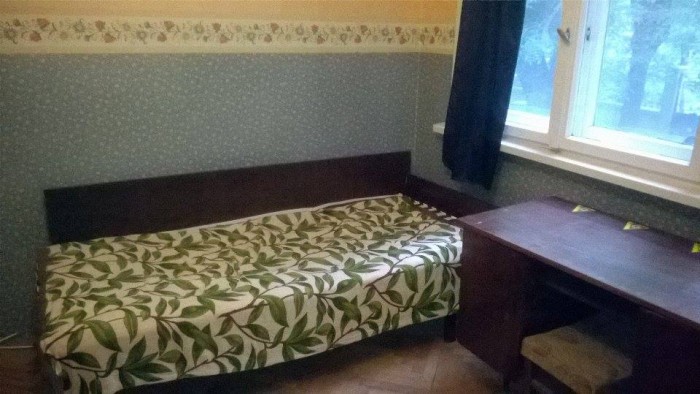 Стая под наем