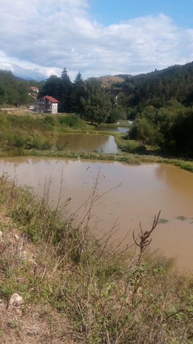 Рибовъдство - много добро предложение.