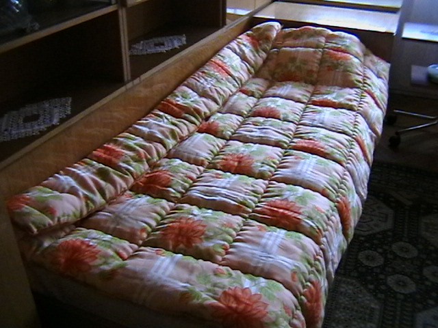 Олекотен юрган