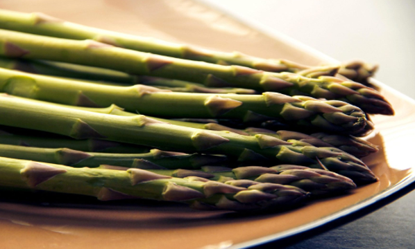 Семена Аспержи(100 броя)