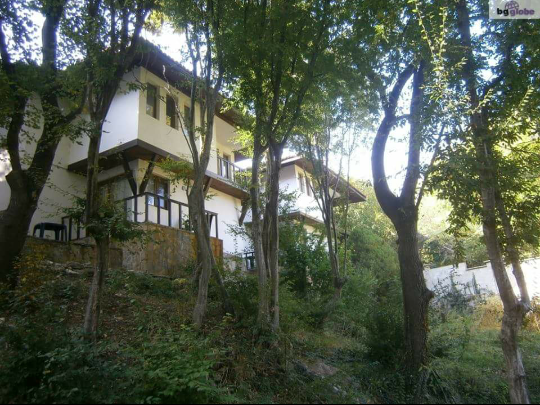 Вилно селище "Бор" 