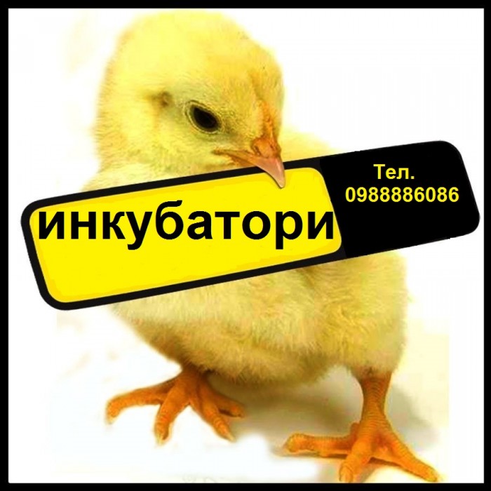 Инкубатори -Люпилни