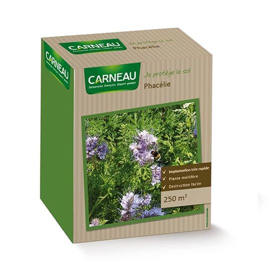 Медоносна цветна поляна – Фацелия