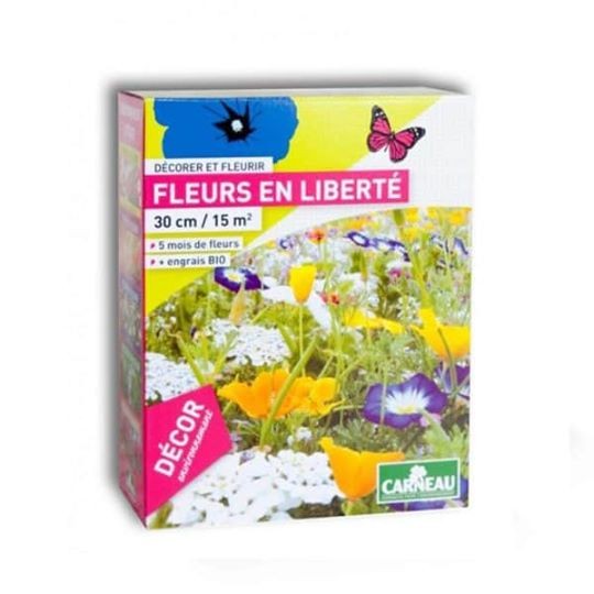 Цъфтящи мавритански поляни