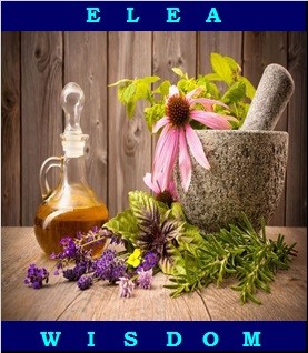 Курс по ароматерапия 