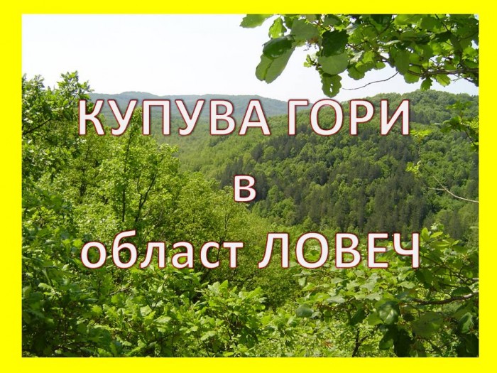 Купува ГОРИ в област ЛОВЕЧ - 0887 512 663