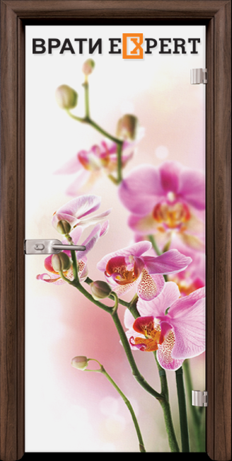 Интериорна стъклена врата модел Print G 13-2