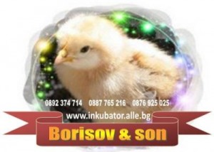 Инкубатори - изгодни цени!