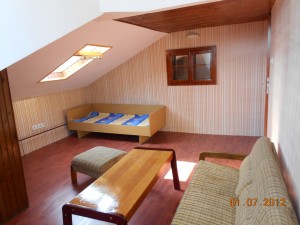 Давам под наем стая