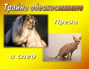 Трайно обезкосмяване