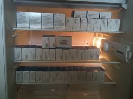 прегнил и провирон